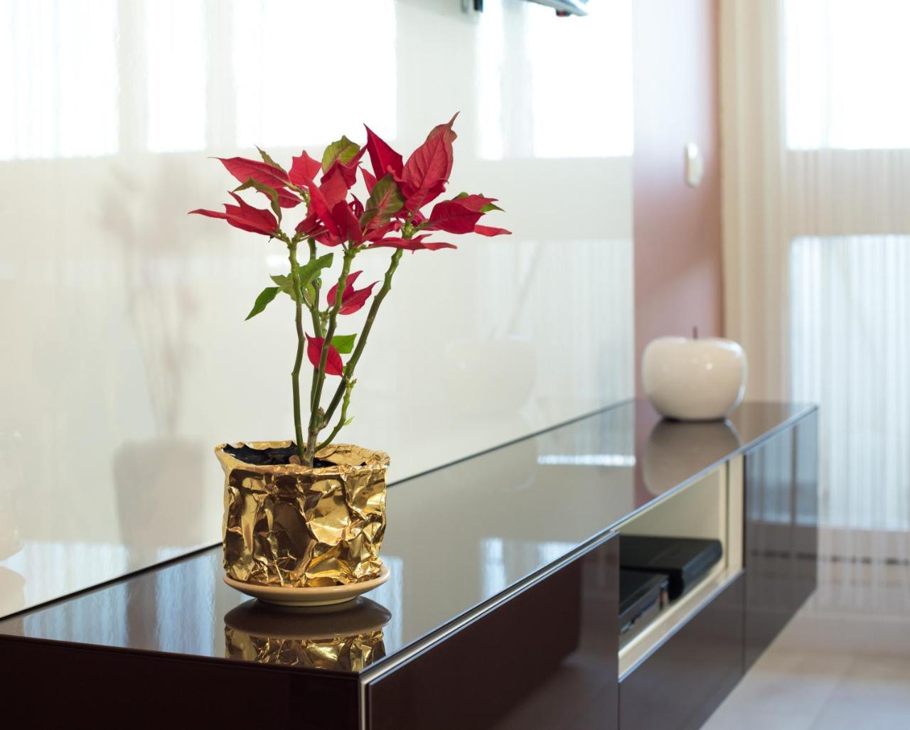 Amalfi Apartamento *